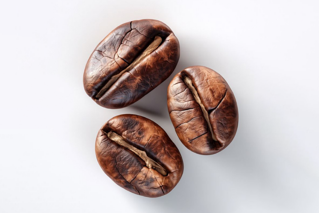Bozast® Grata Medium Roast